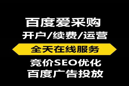 专业SEM服务公司案例分析报告